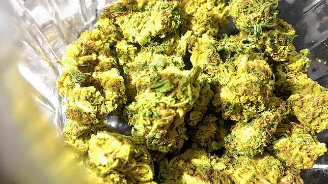 Cannabisblüten soll es bald ganz legal in Anbauvereinigungen geben.
