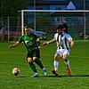 Bild :