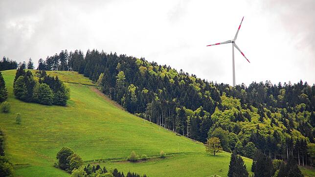 Die Bürgermeister von Zell, Fröhnd, Böllen und Kleines Wiesental wollen Klarheit darüber, wie es mit den Windkraftplänen der EWS am ...