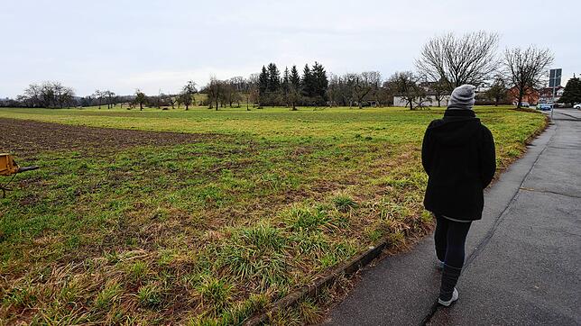 Hier sollen in den kommenden Jahren 6000 Menschen ihre neue Heimat finden. An der nördlichen Stadtgrenze oberhalb von Wollmatingen soll ...