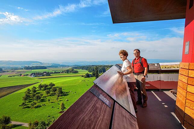Ein kostenloses Panorama bietet der Napoleonturm im schweizerischen Wäldi.