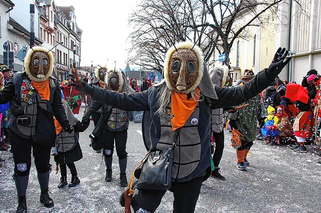 Bild 6: Sonne für die Narren: Großer Fasnet-Umzug begeistert in Singen!