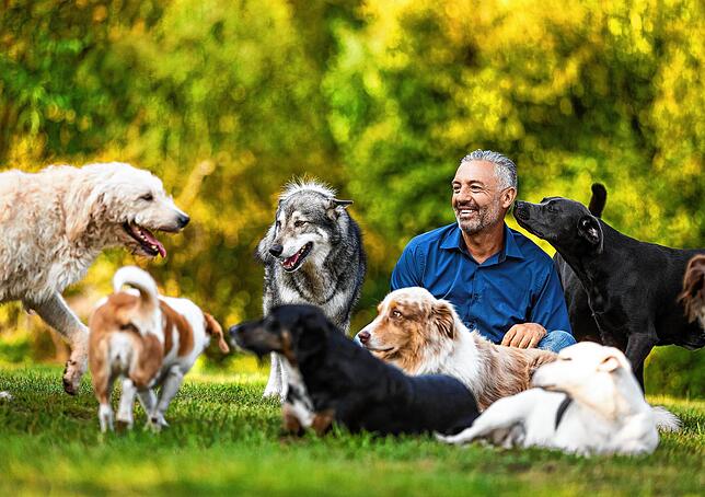 Glücklich mit Hunden: TV-Coach Andreas Ohligschläger mit seinen Vierbeinern.