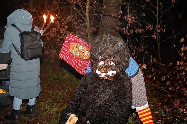 Bild 24: Schneeschreck und Riedhexen tanzen am Feuer &ndash; Alle Bilder vom Fasnachtsauftakt in Wollmatingen