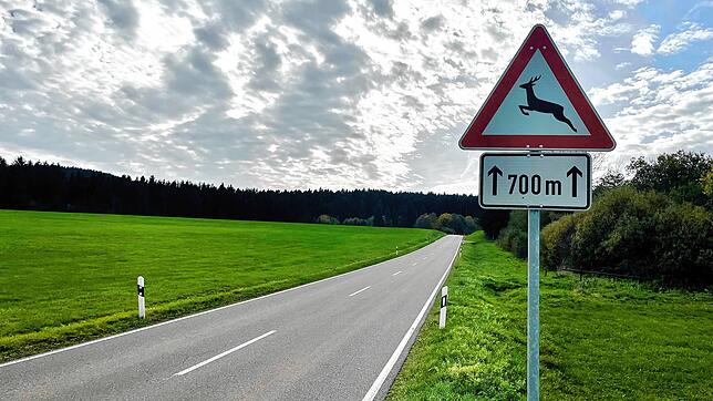Besondere Vorsicht für Autofahrer ist beim Übergang von Wald zu Wiese geboten: Hier kreuzen Wildtiere häufig die Straße.