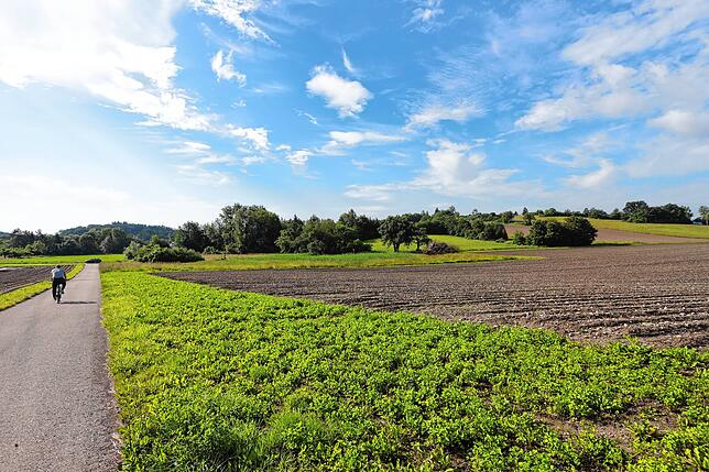 Noch ist hier im Juni 2024 am Hafner kein neuer Stadtteil, sondern Naherholungsgebiet.
