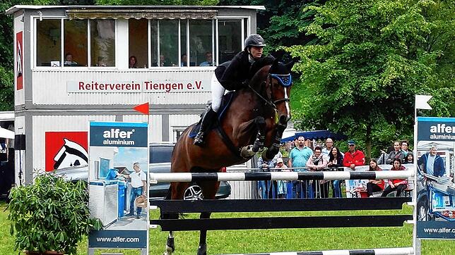 Corona verhindert Pferdesport-Großereignis: Das traditionsreiche Pfingstreitturnier des Reitervereins Tiengen musste abgesagt werden.