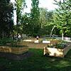 Bild :