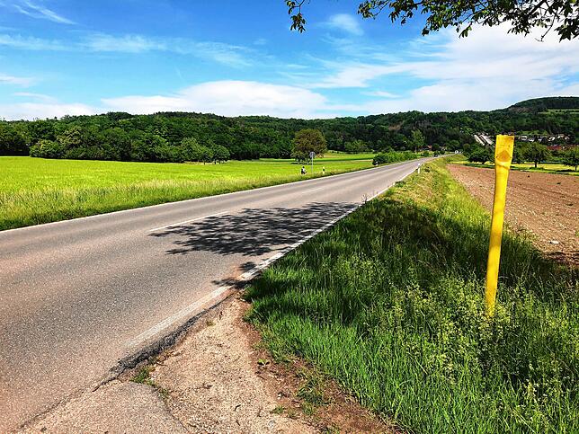 Bild 8: Wandern vor der Haustür (Teil 4): Durch den Bürgerwald zum Küssaberger Rheinufer