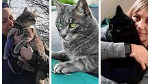 Rund um Fürstenberg sind die Katzen Mutzi (links), Lenny und Lola verschwunden.