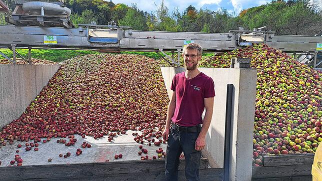 Philipp Kopp von der Mosterei Kopp im Deggenhausertal zeigt sich hochzufrieden mit der Ernte in diesem Jahr, über 100 verschiedene ...