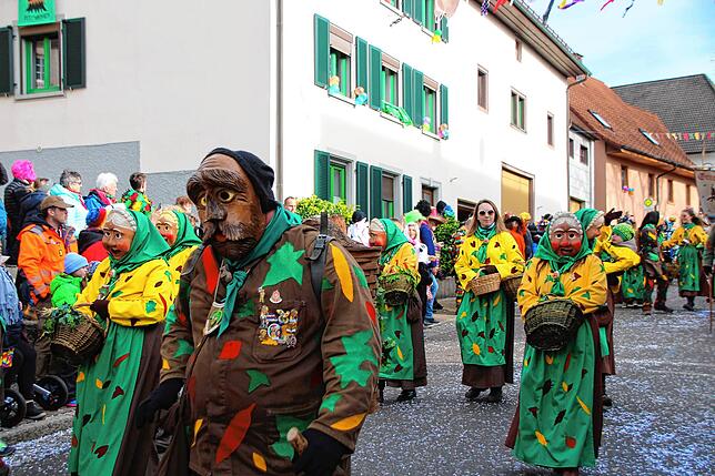 Bild 3: Bilder vom Umzug beim 35. Schlüchttalnarrentreffen &ndash; Teil 1