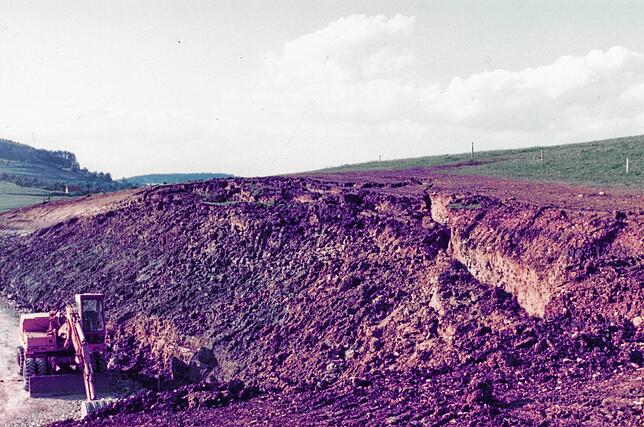 Als auf der Ostseite der Umfahrung am Fuß des Wallibergs ein Feldweg angelegt wird, schneidet der Bagger eine Opalinustonschicht an: der ...
