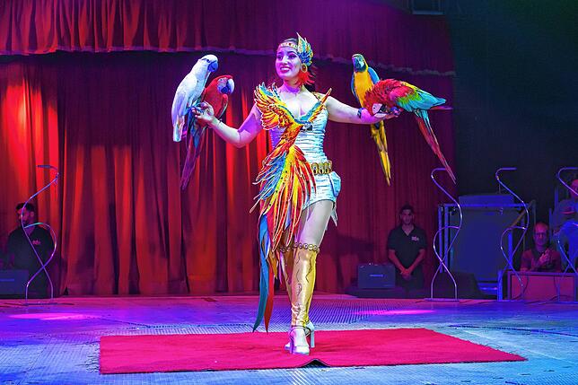 Bild 10: Zirkus ohne wilde Tiere: Überzeugt das Spektakel mit Licht- und Wasser-Shows?