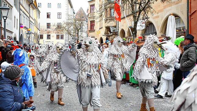 Die Ala-Bock aus Dingelsdorf unterwegs: In der anstehenden fünften Jahreszeit wird es nur Fasnacht unter freiem Himmel geben.