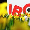 Bild :