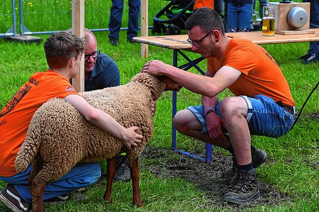 Bild 17: Bilder vom Waldfest Unterschiltach