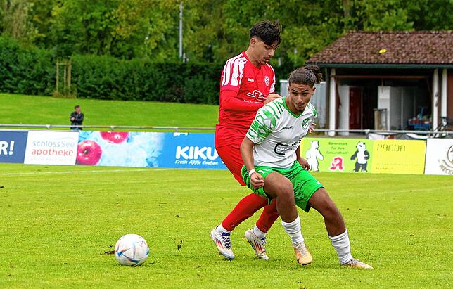 Bild 28: Aufsteiger FC RW Salem besiegt Absteiger DJK Donaueschingen 2:0. Die besten Bilder!