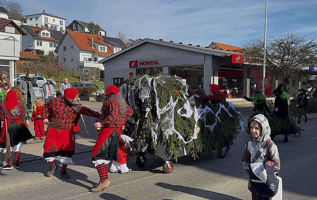 Bild 1: Bermatingen: Die Bilder-Highlights des ausgelassenen Umzugs und der Narrenolympiade!