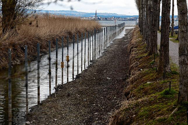 Im Hafen in Moos reicht das bisschen Wasser nicht, um die Boote ins Wasser zu lassen.