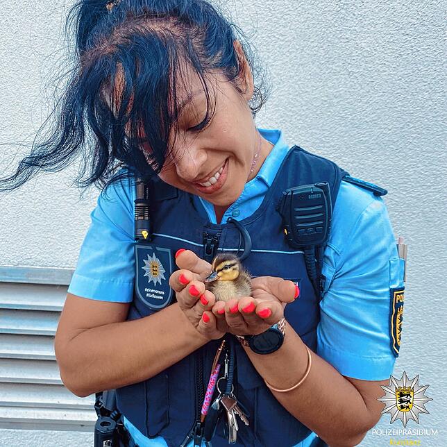 Eine Polizistin hält eines der Küken in der Hand.