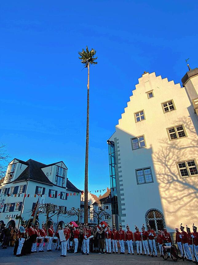 Der Baum steht noch, er konnte verteidigt werden.