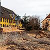 Zwölf Bäume wurden auf dem Marktplatz gefällt.