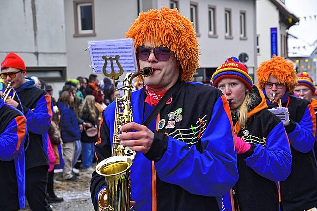 Bild 13: 75 Gruppen beim Fasnachtsumzug in St. Georgen: Wir haben die Bilder