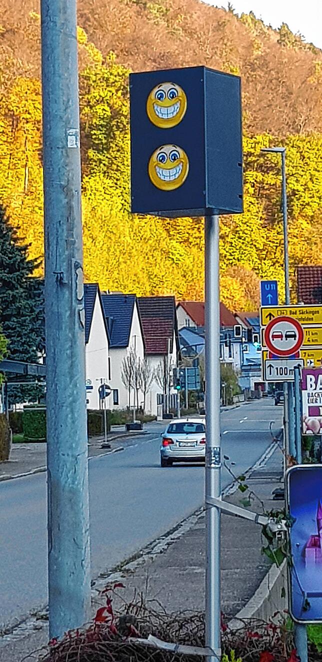 Familie Asal in Degerfelden hat ein Vogelhaus aufgestellt, das aussieht wie ein Blitzer. Nach Anordnung des Ordnungsamt haben sie es ...