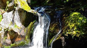 Der Krai-Woog-Gumpen mit seiner Gletschermühle am Schwarzenbächle ist gerade im Hochsommer ein beliebtes Ausflugsziel.