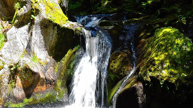 Der Krai-Woog-Gumpen mit seiner Gletschermühle am Schwarzenbächle ist gerade im Hochsommer ein beliebtes Ausflugsziel.