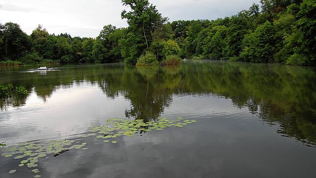 Der Ziegeleiweiher in der Singener Nordstadt. Weil sich zu viel Schmutz am Grund des Regenrückhaltebeckens absetzt, will die Stadt nun ...