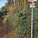 Der Naturlehrpfad Richtung Rosenegg, hier führte am Hang hinter der Grundstücken die alte Wasserleitung entlang.