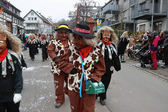 Bild 16: Bonndorf feiert den 40. Geburtstag des Narrenvereins mit riesigem Umzug
