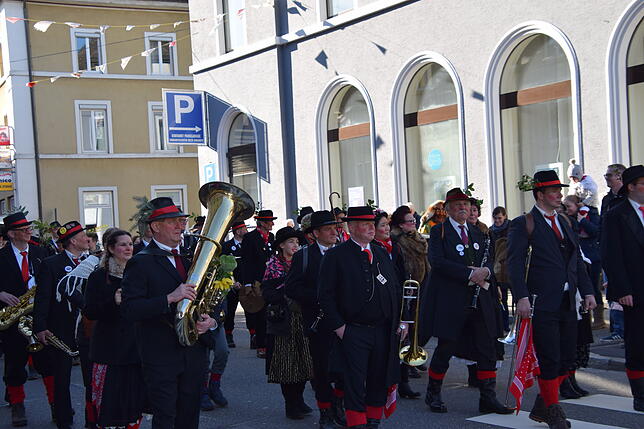 Bild 4: Musik, gute Stimmung und Tradition: Bilder vom Wäldertag in Bad Säckingen