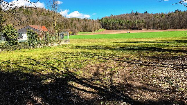 Die Aussichten sind nicht schlecht. Im Katzental könnte am Waldrand und in der Nähe des Sportgeländes ein Waldkindergarten entstehen. ...