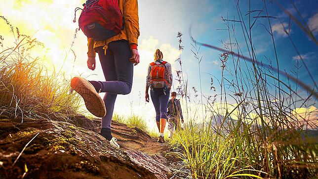 Nun sind wieder Wanderungen mit dem Schwarzwaldverein möglich. Bild: Mikhail Dudarev &ndash; stock.adobe.com
