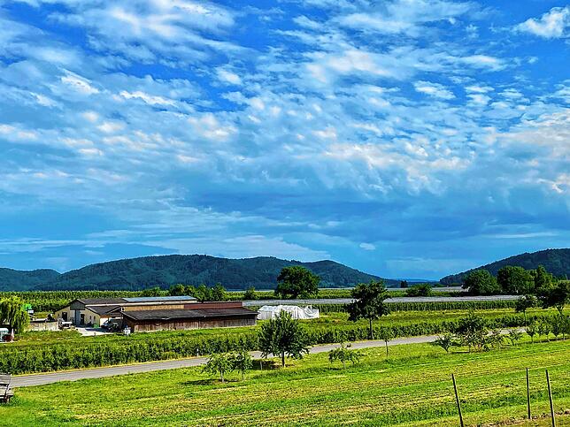 Die Agri-PV-Fläche wird nun mit größerem Abstand zur Ortsgrenze Wahlwies geplant, damit eine weitere Wohnbebauung möglich bleibt. Das ...