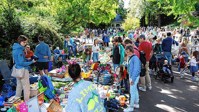 Bild 8: Radolfzell feiert 47. Altstadtfest: Musik, Genuss und Sonne ziehen Tausende Besucher an