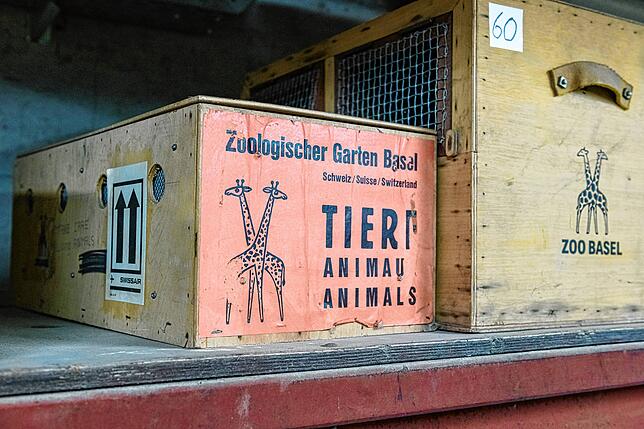 Bild 8: Ein Elefantenbulle auf dem Tieflader und ein Okapi in der Box: So sieht es aus, wenn Zootiere auf Reisen gehen