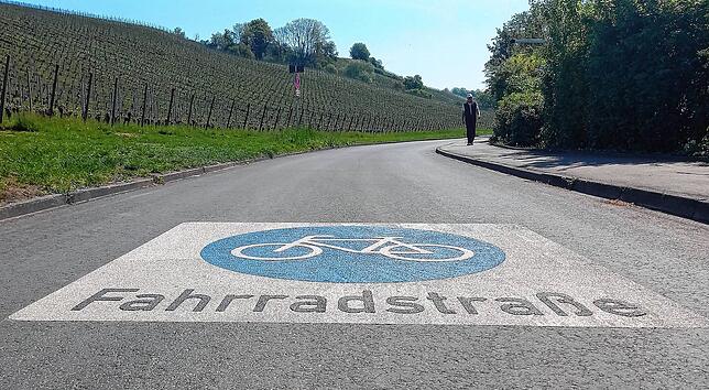 Ab dem städtischen Seglerhafen in Meersburg ist der Radweg Fahrradstraße. Für die Benutzung gelten besondere Regeln.