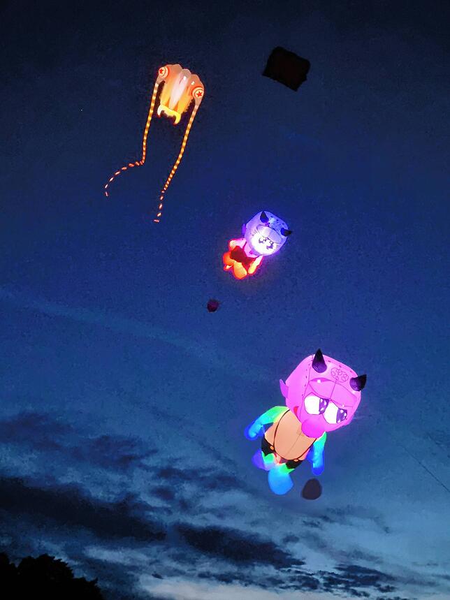Bild 30: Bilder vom 11. Familien-Drachenfest auf dem Flugplatz in Hütten