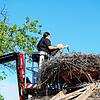 Die Storchenbeauftragte am Affenberg in Salem, Sylvia Altheimer, holt einen Storch aus dem Horst, um ihm einen Sender anzulegen.