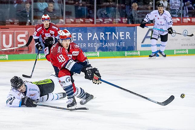 Bild 3: Die Wild Wings siegen wieder in der Deutschen Eishockey-Liga