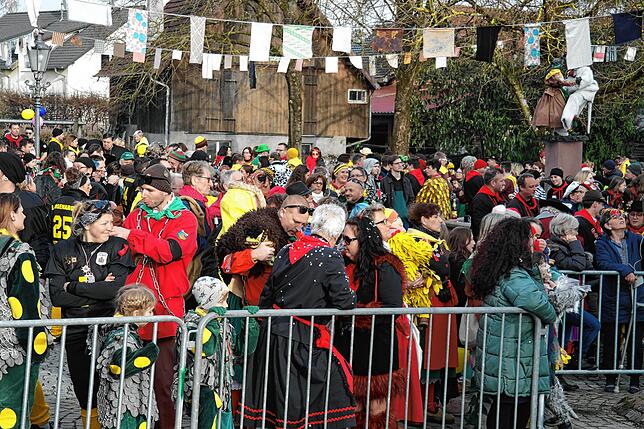 Narrenbaumstellen der Katzenzunft Kippenhausen. Bild: Claudia Wörner