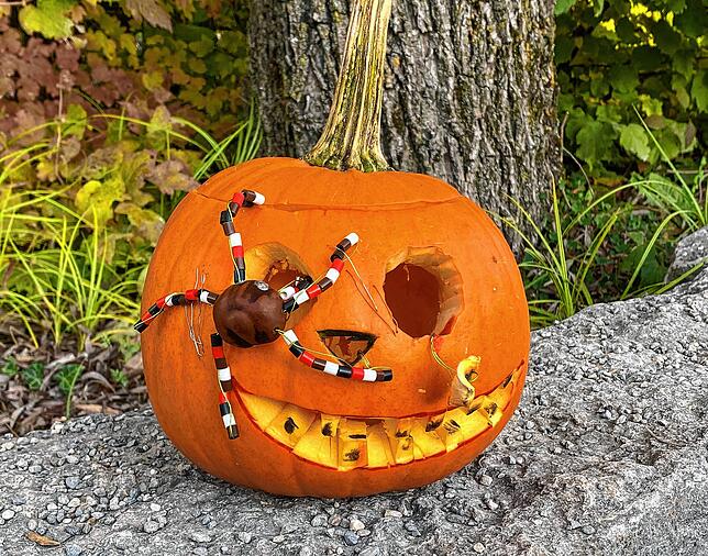 Da waren Künstler am Werk: Ein bisschen Grusel darf schon sein an Halloween