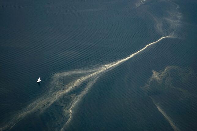 Das Segelboot wirkt ganz klein im Vergleich zum Blütenstaubgemälde.