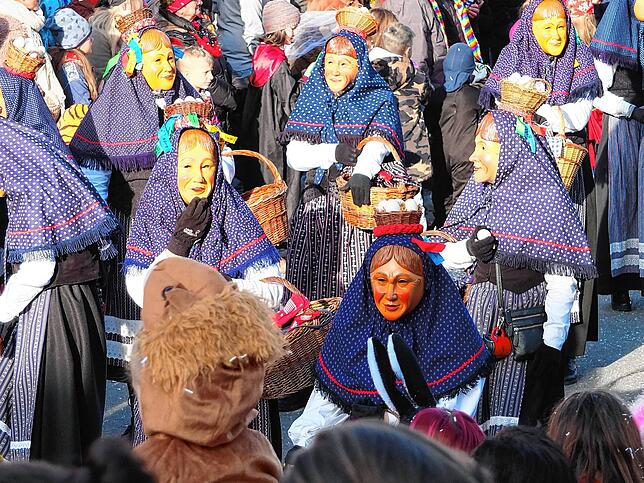 Bild 2: Großer Jubiläumsumzug der Narren in Niedereschach – Teil 2