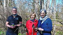 Von links Klaus Lang, Bettina Goltz-Bertsche und Carmen Reindl. Sie bieten jetzt auch Waldbaden für Familien an. Foto: Kur- und Bäder