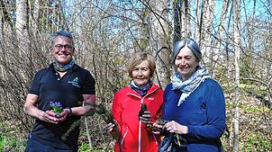 Von links Klaus Lang, Bettina Goltz-Bertsche und Carmen Reindl. Sie bieten jetzt auch Waldbaden für Familien an. Foto: Kur- und Bäder